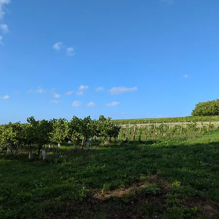 Maison Charentaise Dom wakacyjny
