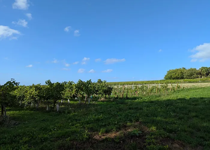 Maison Charentaise Semesterbostad